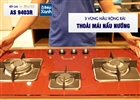 Bếp 3 Gas Malloca AS 9403R